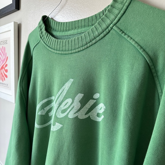 Aerie Oversized Kelly Green Crewneck Sweatshirt - Picture 3 of 5